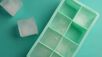 Ice cubes melting in a tray on a colored surface video