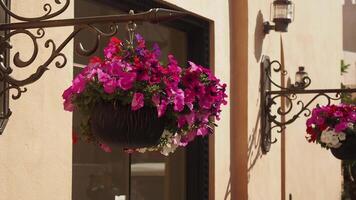 Colorful flower baskets enhance exterior charm in town video