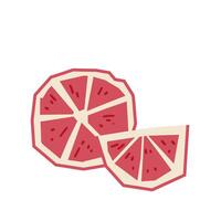 Red Grapefruit Slice Illustration vector