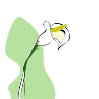 Simple drawing of single calla lily flower background. Minimalistic white calla lily flowers. Wedding invitation card vector