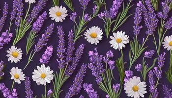 Fresh lavender and chamomile flower pattern nature background photo