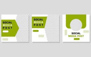 Three social media post templates with a green and white color scheme. vector