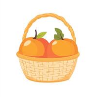 Orange basket with two oranges in it vector