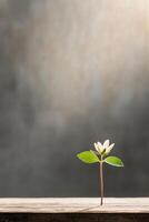 A small, fragile flower grows alone on a textured surface, its gentle hues reflecting a quiet strength photo