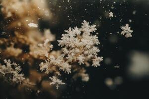 Close view of intricate snow crystals resting on glass, unveiling natures artistry on a chilly winter day photo