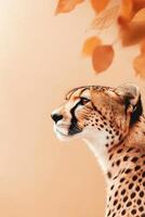 Elegant cheetah showcasing natural beauty in minimalist setting with soft tones and gentle leaves in autumn ambiance photo