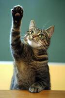 Cat eager to answer a question in classroom setting, raising paw high with curiosity and confusion photo