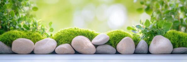 Moss-covered rocks nestled in a tranquil environment surrounded by soft greenery photo