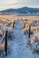 Winter pathway through frosted fields leading to distant mountains at dawn photo