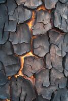 Campfire embers glow warmly at night in rustic outdoor setting creating an inviting atmosphere photo