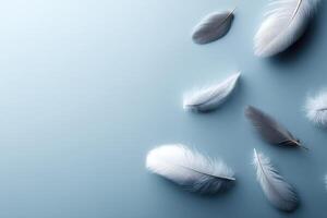 Captivating display of fluffy down feathers on soft blue background with ample copy space photo