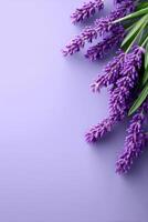 Vibrant lavender blooms on a pastel background with space for creative text and design photo