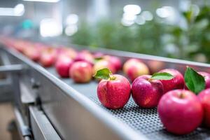 Bright and colorful apple processing facility with sorting and packaging activities taking place photo