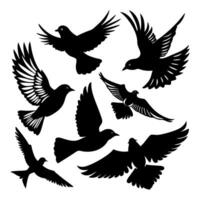 Collection of birds in flight silhouette style with expressive wing shapes vector