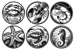 Hand drawn ocean animal illustration set with crab, lobster, shrimp, starfish, turtle and seahorse in retro circular design vector