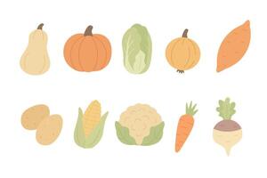 A collection of various vegetables including squash, pumpkins, carrots, corn, and cabbage vector