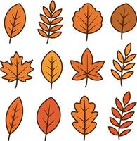 A collection of various autumn leaves in shades of orange and yellow. The leaves are illustrated with simple outlines and diverse shapes. vector