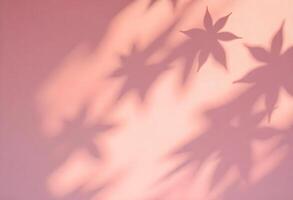 A pink wall with leaves casting shadows photo