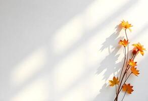Autumn leaves on a white wall with sunlight photo