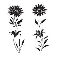 Diverse Flower Silhouettes Set Daisy and Lily Bloom vector