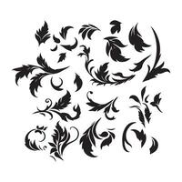 Elegant Flourish and Leaf Elements Set Black and White Botanical Scrolls vector