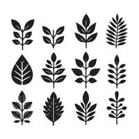 Leaf Silhouettes Set of Twelve Black and White Botanical Shapes vector