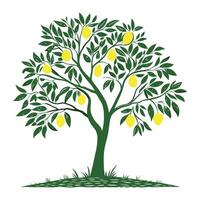 Lemon tree with green leaves and ripe lemons vector