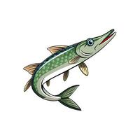 Cartoon barracuda fish illustration with open mouth upwards direction vector