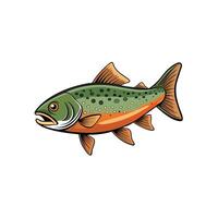 Isolated Brook Trout Illustration with Distinct Spots and Fins vector