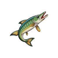 Illustration of a colorful barracuda fish with open mouth vector