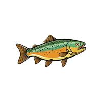 Illustration of a colorful trout with black outlines and spots vector