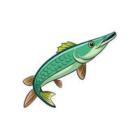 Cartoon barracuda illustration with detailed scale pattern and fins vector