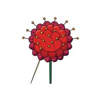Stylized illustration of sundew plant with red globules and tentacles vector