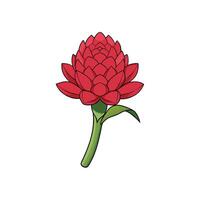 Stylized red flower illustration with green stem and leaf vector