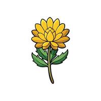 Cartoon golden yellow flower on stem with green leaves vector