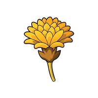 Stylized yellow flower with dark outline on white background vector