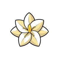 Elegant white flower with yellow center and black outline vector