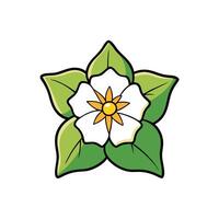 Cartoon stylized white flower with green leaves design element vector