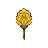 Stylized golden flower with black outline on white background vector