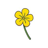 Cartoon yellow flower with green stem on white backdrop vector
