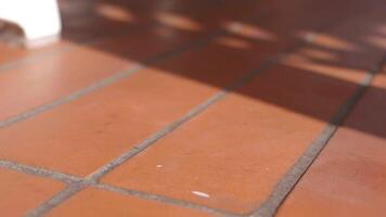 Close-up Sim card drops on a floor. lost sim card concept video