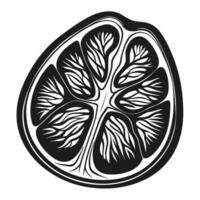 Monochrome illustration of citrus fruit slice with intricate patterns vector