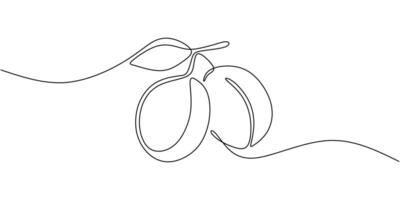 Plum Continuous Line Art vector