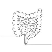 Continuous One Line Drawing Intestines vector