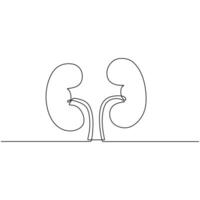 Continuous One Line Kidney vector
