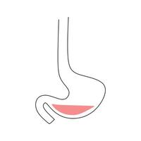 Human Digestion One Line Art vector