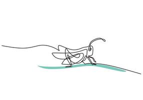 Insect Grasshopper Leaf vector