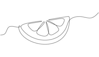 Continuous Line Citrus Fruit vector