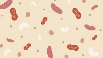 Popcorn and Bean Treats Background vector