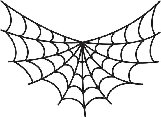 Spider Web Decoration Isolated on White Background